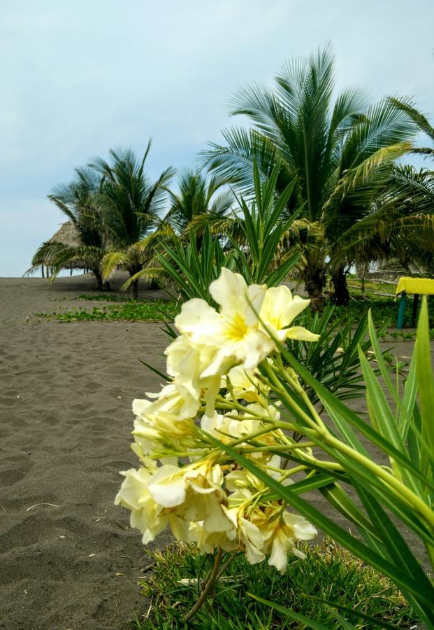 Eco-Hotel Playa Quilombo Las Lisas Exteriör bild